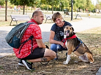 Adoptuj Warszawiaka  Wydarzenie promujące adopcję zwierząt. Organizator: Schronisko dla Bezdomnych Zwierząt "Na Paluchu". 18 sierpnia 2019, Park Raszyński w Raszynie. : park raszyński, adoptuj warszawiaka, na paluchu, schronisko dla zwierząt, centrum warszawy, raszyn